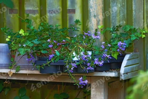 Preview: Springtime