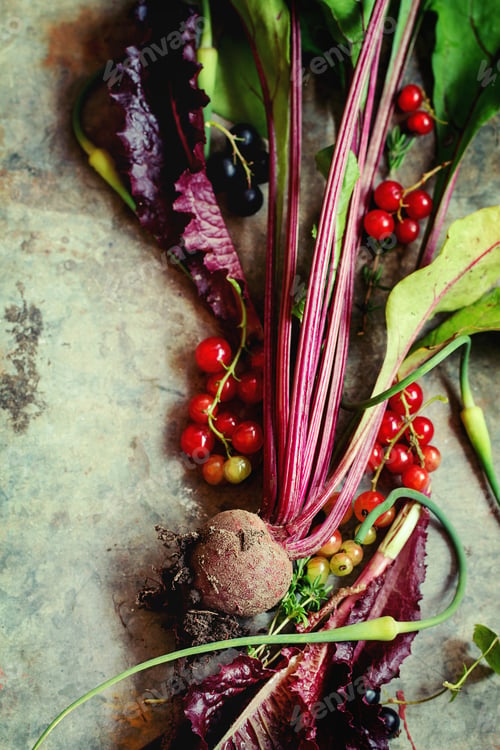 Preview: Variety of young vegetables