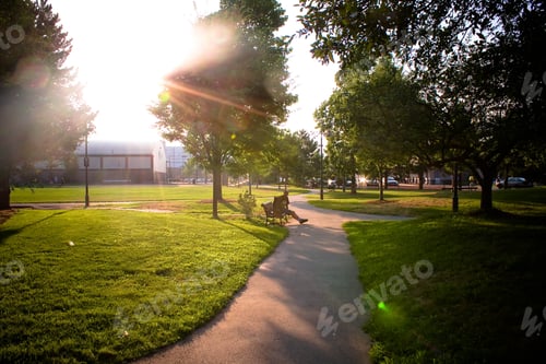 Preview: a man is sitting on a bench in the evening square in the background light of a park path