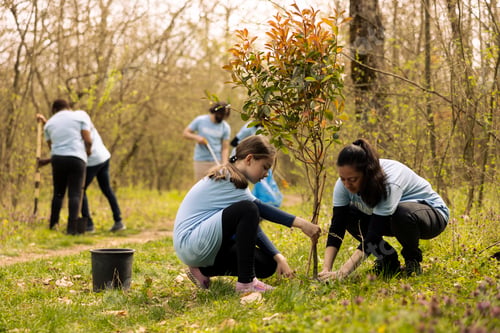 Preview: Mother and daughter cultivating life by planting trees in the forest