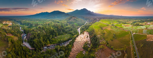 Preview: Beautiful morning view indonesia panorama landscape paddy fields