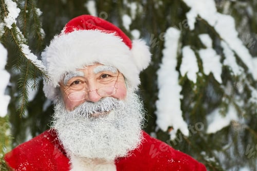 Preview: Portrait of Smiling Santa in Winter Forest