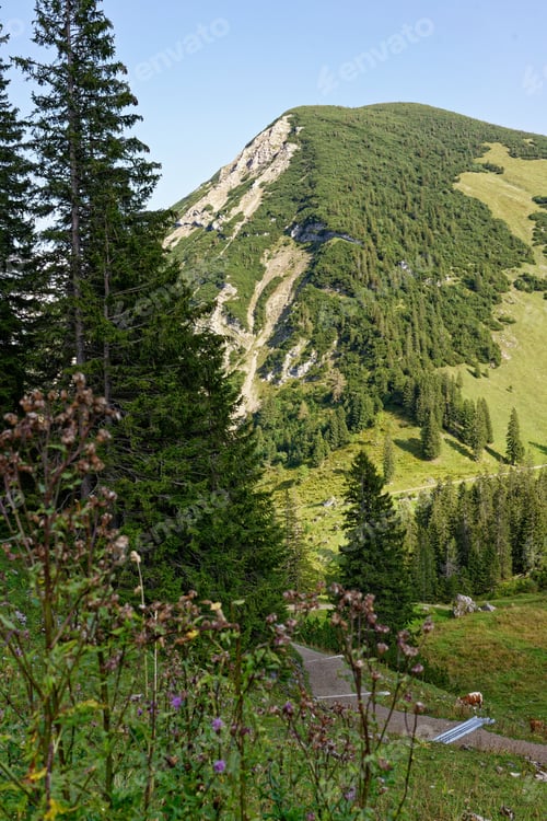 Preview: Scenic mountain landscape with lush greenery.