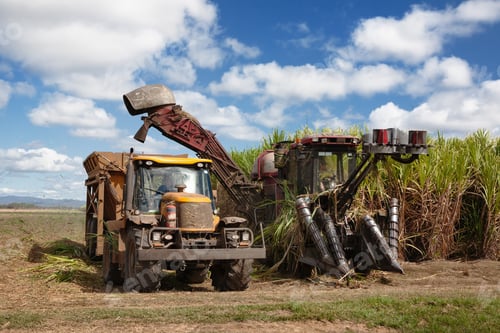 Preview: Eye-level shot of a sugarcane harvester under the blue cloudy sky