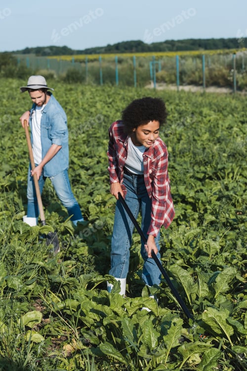 Preview: full length view of young interracial farmers cultivating plants in field