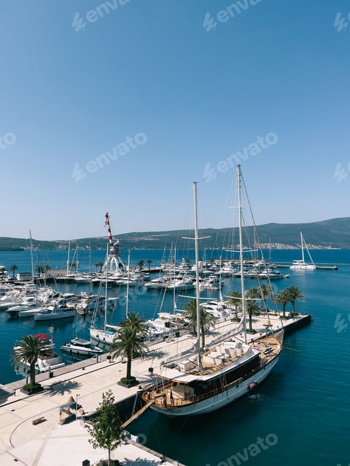 Preview: Sailing yacht moored on a luxury marina with potted palm trees