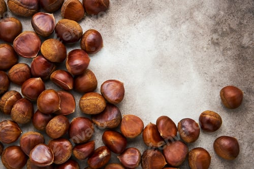 Preview: Fresh uncooked sweet chestnut. Pile of fresh chestnuts ready to roast shot.