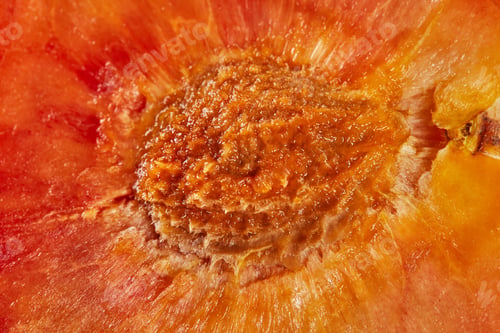 Preview: Fresh ripe yellow-red plums, cut in half. Macro shooting