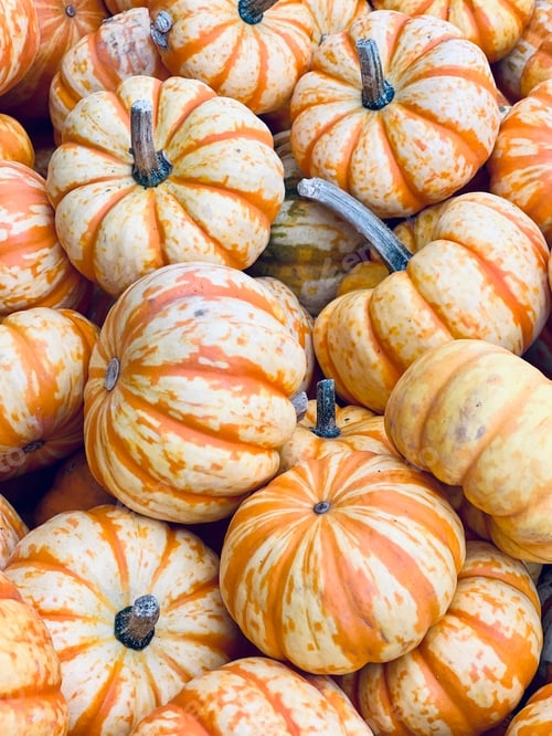 Preview: A crate full of small pumpkins.