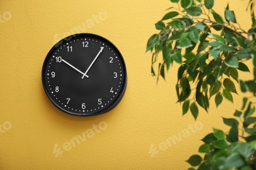 Preview: Plant with green foliage near clock on color wall