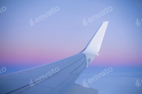 Preview: Winging it through pastel skies at dusk