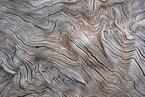 Preview: Tree