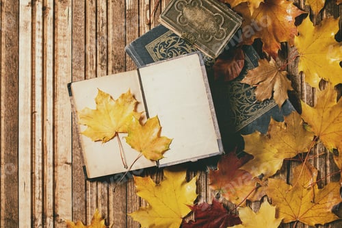 Preview: Books and autumn leaves