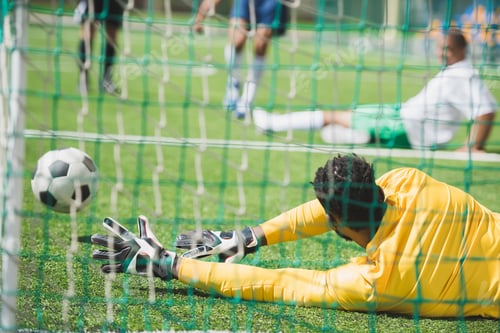 Preview: back view of goalkeeper catching ball during soccer match on pitch