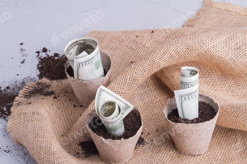Preview: Growing money in flowerpots.