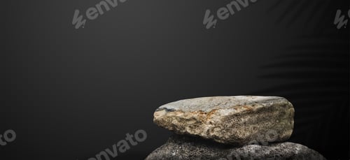 Preview: tone Rock podium isolated with palm leaves shadow on black wall background for product display