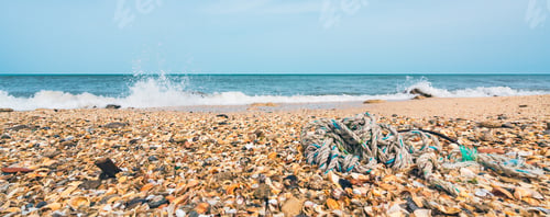 Preview: Abandoned fishing rope on the shore