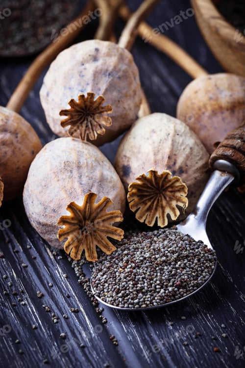 Preview: Poppy seeds and heads on wooden background