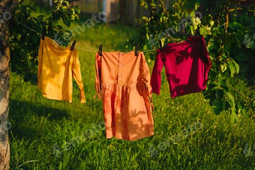 Preview: Childrens colored underwear dry on clothesline in garden in nature after laundry