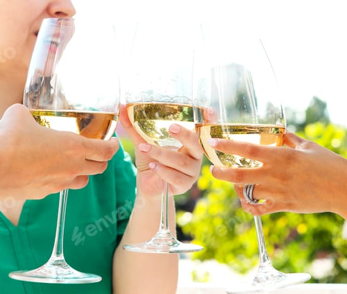 Visualização: Amigos da colheita tilintando taças de vinho