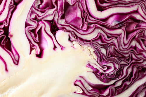 Preview: Red cabbage texture on whole background, close up