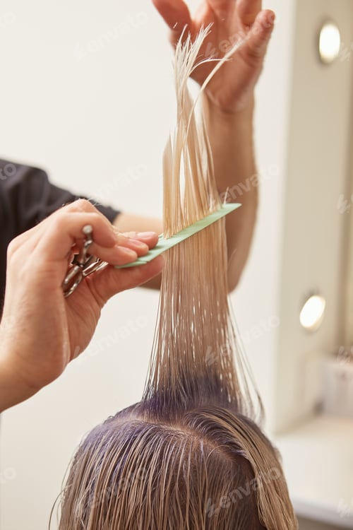 Preview: Skillful hairdresser cutting client hair in beauty salon
