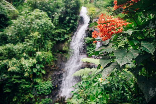 Preview: Gitgit waterfall at Bali, Indonesia