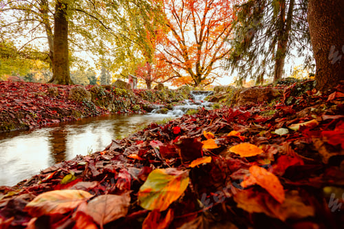 Preview: Long exposure of small waterfall covered with colorful leaves during autumn foliage