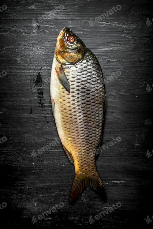 Preview: Raw fish carp.