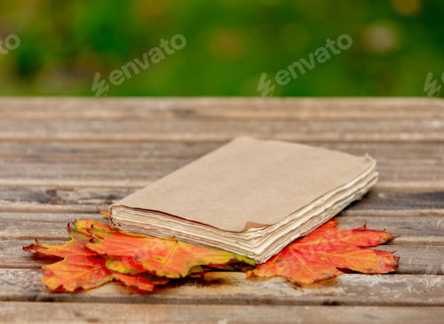 Preview: vintage book and maple leaves on a table in a garden