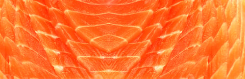 Preview: Fresh red salmon texture