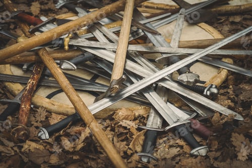 Preview: Historical swords and shields