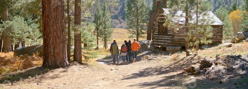 Preview: Rear View Of Group Of Young Friends Outdoors Enjoying Autumn Or Fall Walk Along Trail Through Forest