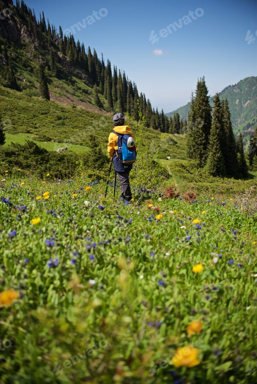 Preview: Young boy on the spring hike in the mountains