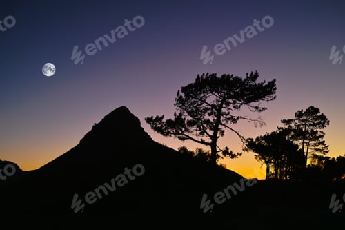Preview: Lions Head by night