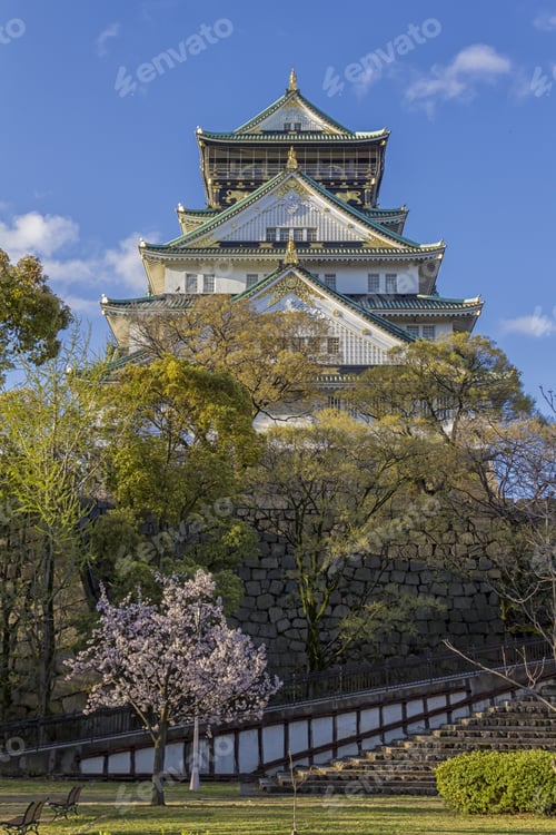 Preview: Cherry blossom trees (Sakura) and Osaka Castle (Osaka-jo), located in Chuo-ku, Osaka, Kansai (Japan)