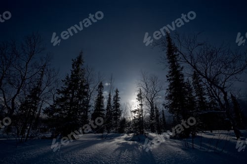 Preview: beautiful arctic winter landscape, very cold climate