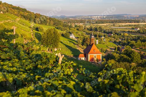 Preview: Small church in the vineyard in the Elbe valley in Dresden Pillnitz, Germany