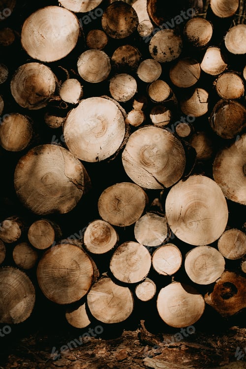 Preview: wood