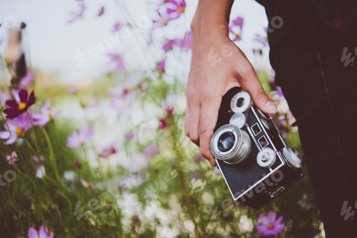 Preview: Close-up of hipster woman with vintage camera while standing in flower field relaxing holiday.
