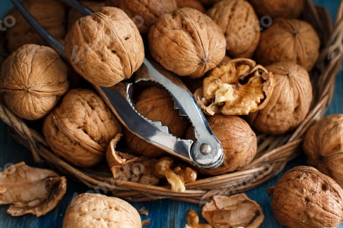 Preview: Fresh walnuts on a blue wooden table