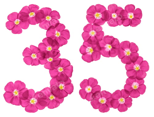 Preview: Arabic numeral 35, thirty five, from pink flowers of flax, isolated on white background