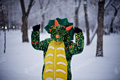 Preview: Portrait of young boy in the green dragon costume in the winter snowy park