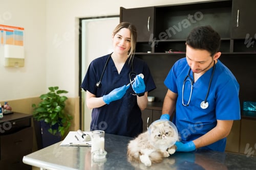 Preview: Happy Beautiful Woman Holding A Syringe To Put A Vaccine On A White Persian Cat. Smiling Woman And