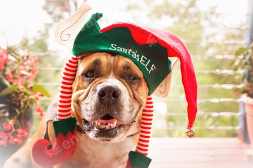 Preview: Santa's Elf