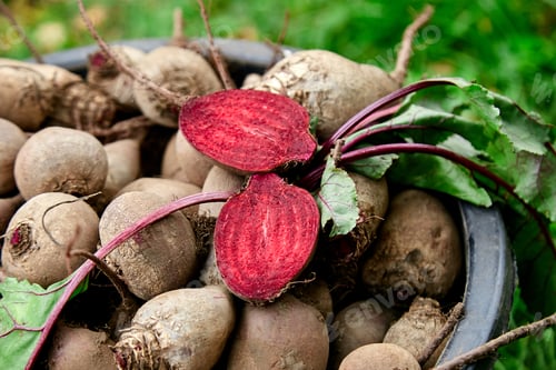 Preview: Fresh organic beetroot with green leaves in a basket.