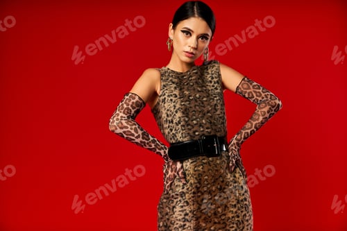 Preview: Fashionable Woman in Leopard Print Dress Against Red Background
