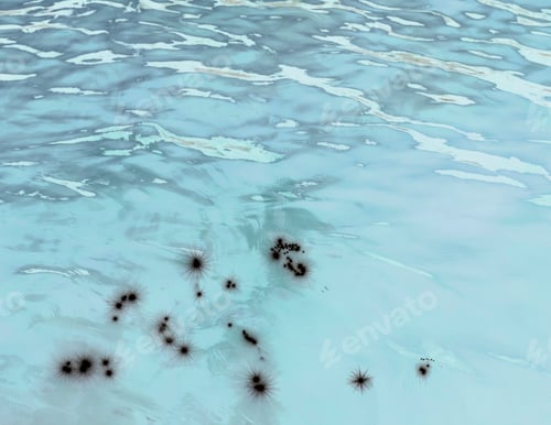 Preview: Inverted image of the calm waters of a lake, ripple patterns and reflections