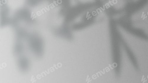 Preview: Soft gray background with blurred leaf shadows.