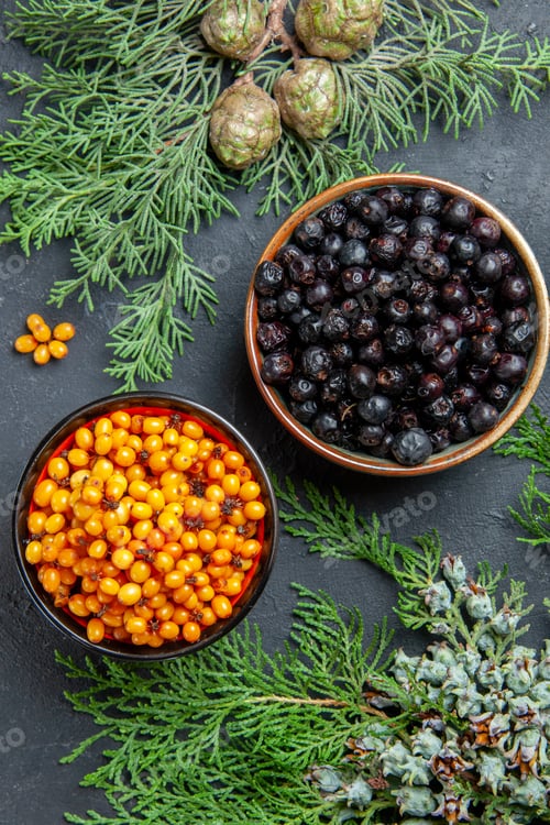 Preview: top view black currant sea buckthorn in bowls pine branches on dark background
